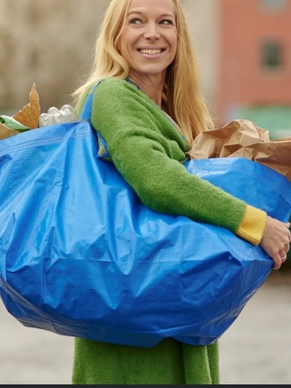 Set Of 2 Large 19 Gallon IKEA Frakta Bags